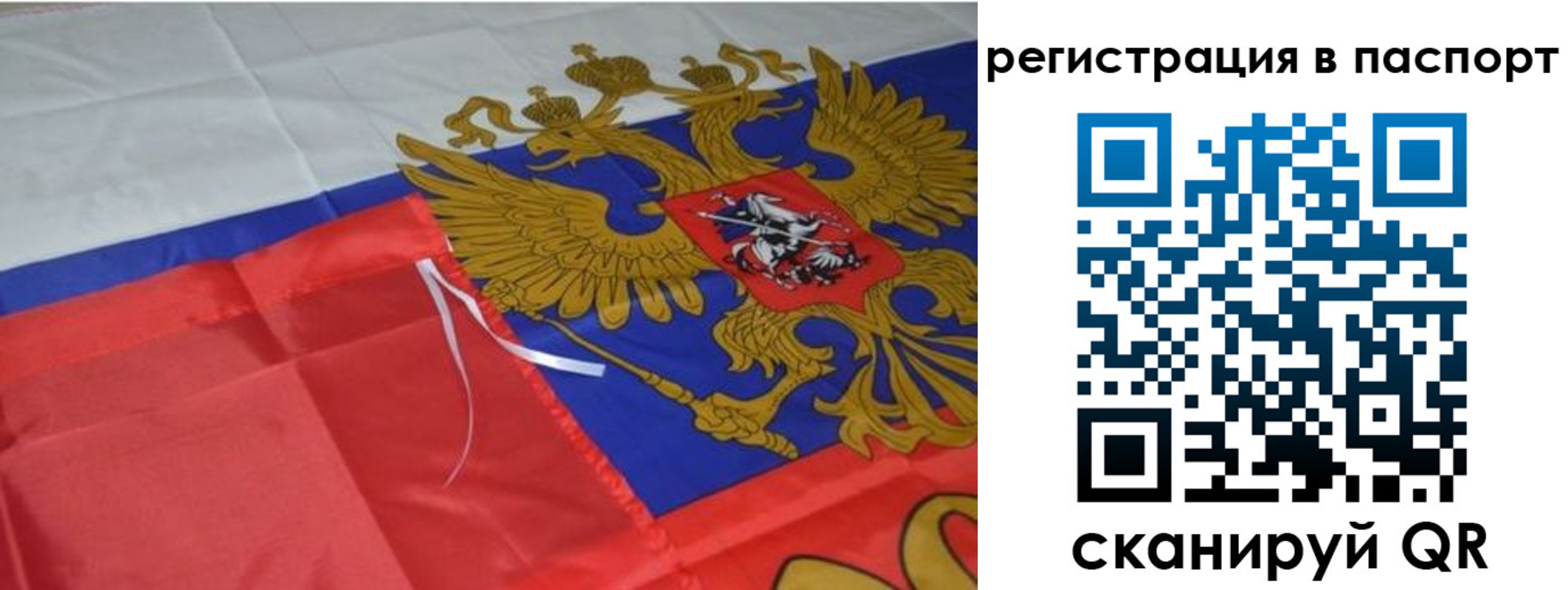 прописка от собственника в Сланцах